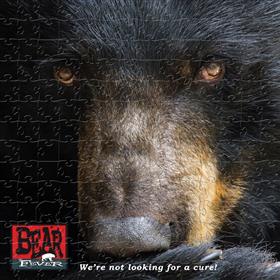 Bear-Fever-Puzzle-Medium-copy-2: 