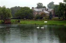 Fieldstone-Farms-swans: 